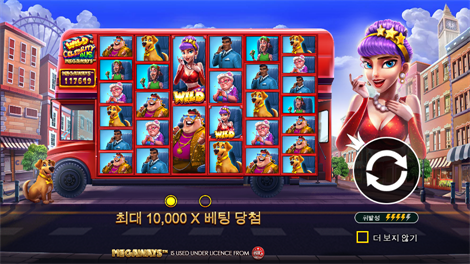 핀업 걸스